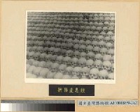 藏品(衡陽遺骸)的圖片